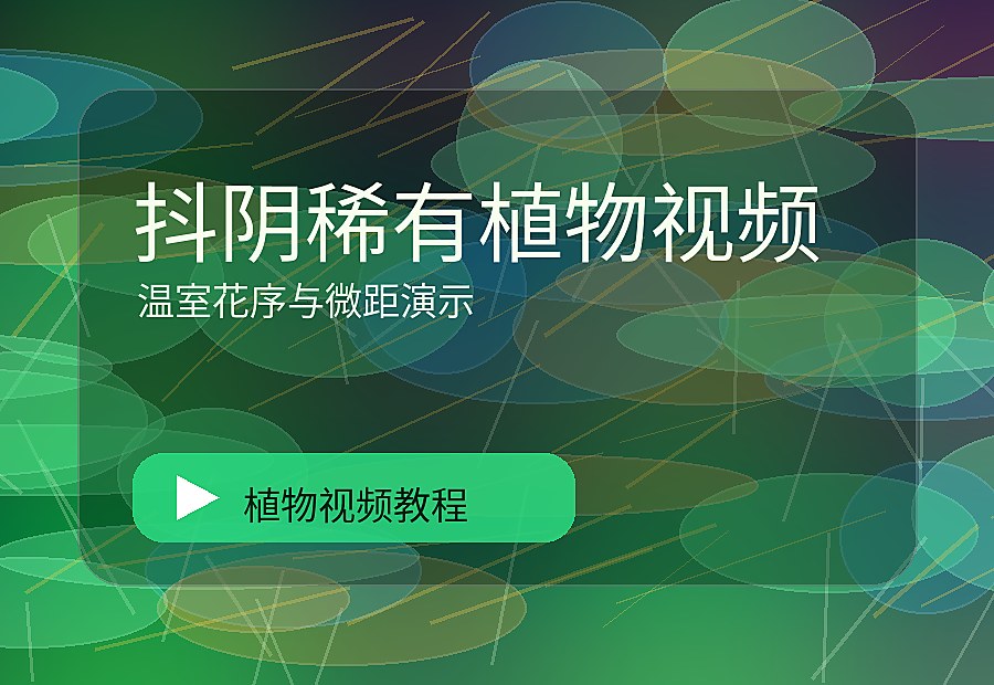 棠花映社