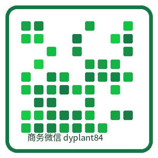 棠花映社